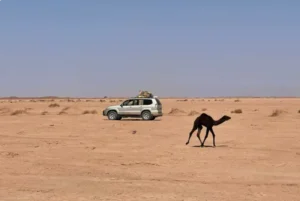 circuit sud maroc Evasion saharienne