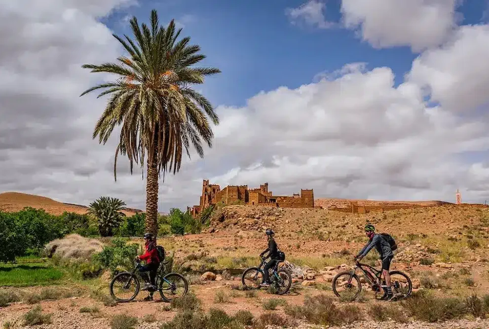 circuit-vtt-saghro-desert Cyclistes en VTT dans une palmeraie du Sud marocain