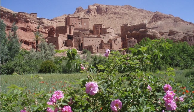 randonnée dans la vallée des roses au maroc, trek vallée des roses