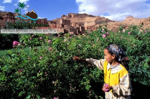 randonnée dans la vallée des roses