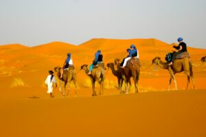 circuit les dunes dorées du merzouga