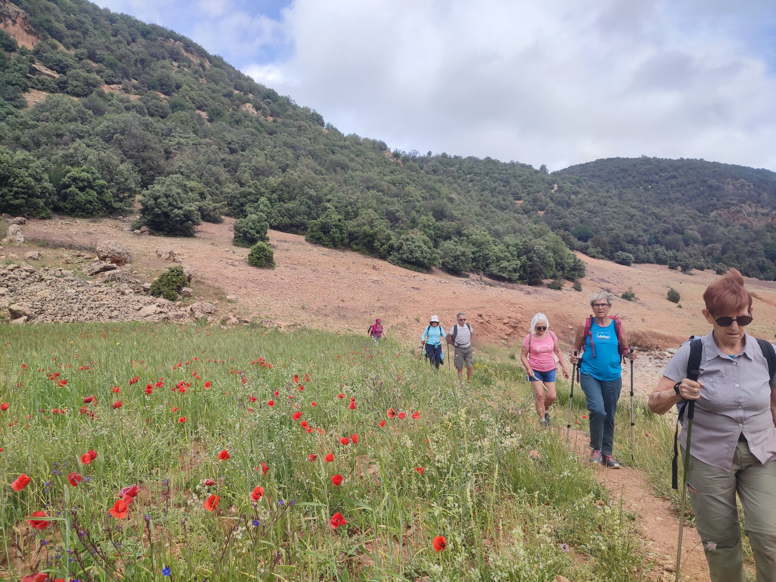 randonnée moyen atlas et visite de chefchaouen