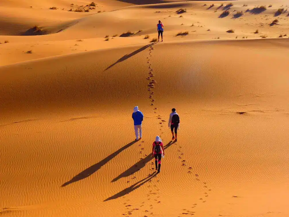 Dunes de sable doré et oasis verdoyantes du désert marocain