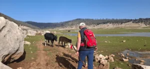 trek chez les nomades du moyen atlas avec des gites familiaux