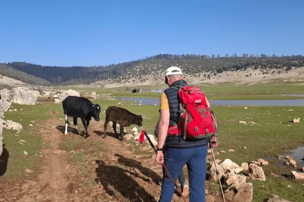randonnées lacs et bergeries du moyen atlas