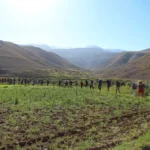 Groupe de randonnée d’un comité d’entreprise dans les champs de la Vallée Heureuse