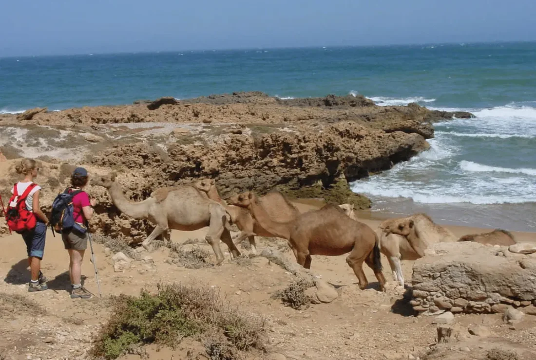 Randonnée Thalasso au Maroc cote Essaouira