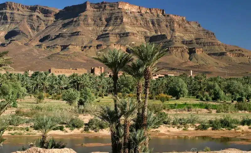 Trek et oasis dunes Chegaga