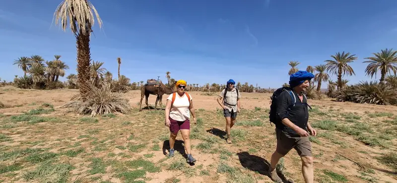 Trek désert du Draa maroc au milieu de la palmerai
