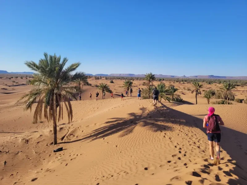 trek désert vallée du Draa dunes et oasis