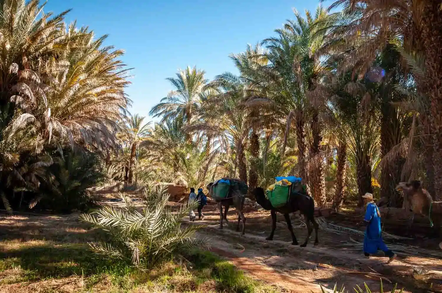 Trek désert et palmeraie sud Maroc en 3 jours