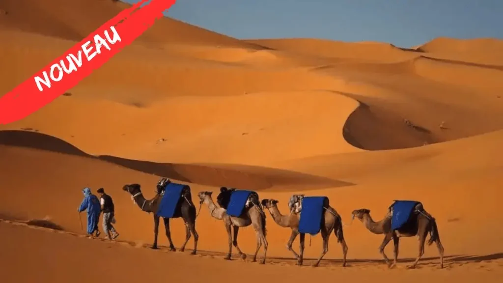 circuit en famille villes impériales trek vallée des roses et désert