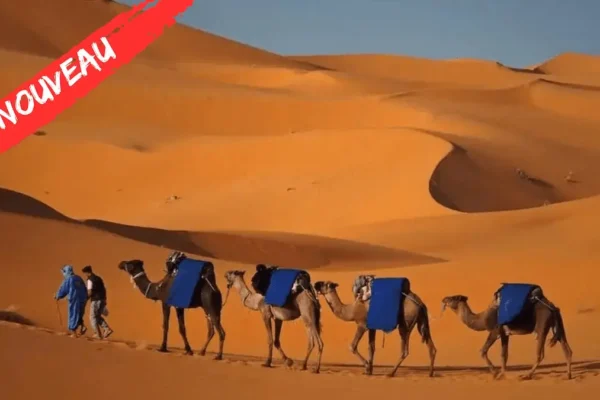 family tour imperial cities roses valley trek and desert