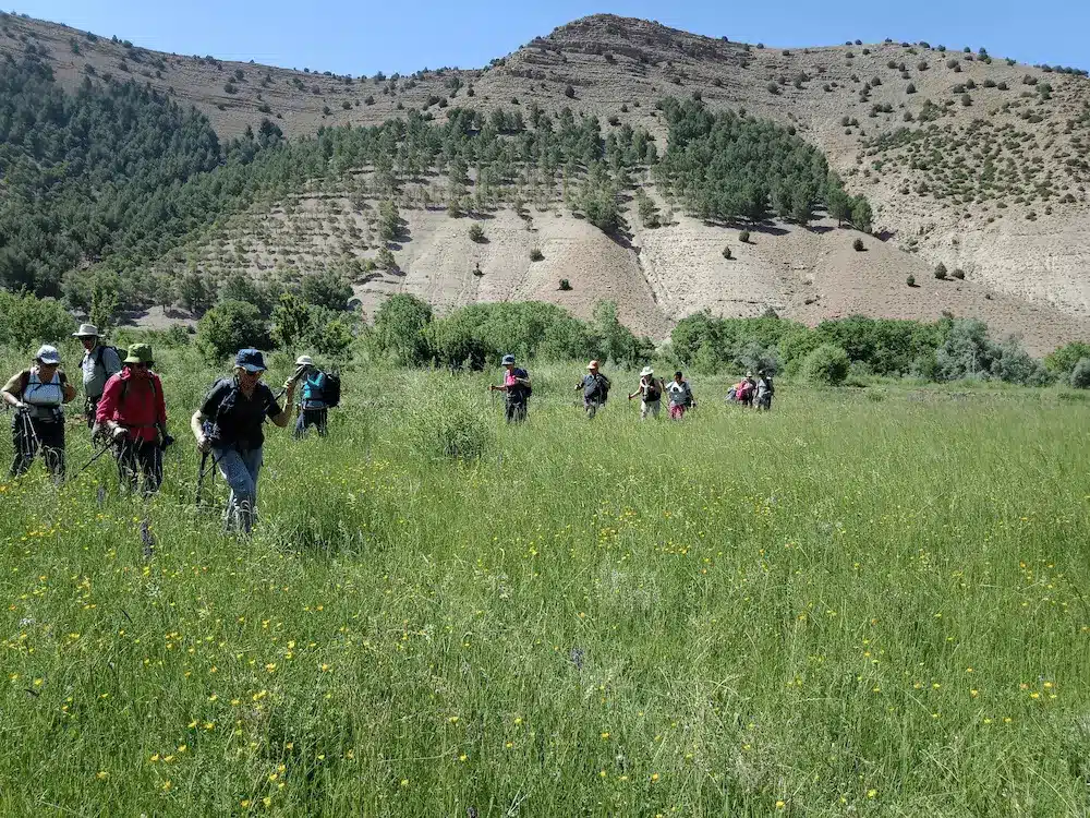 Trek dans la vallée du M'goun et ascension du M'Goun