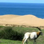 séjour a Agadir, Parc Souss Massa
