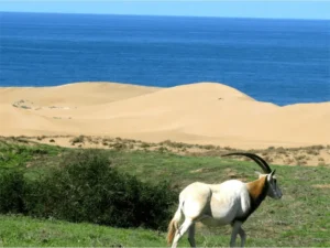 séjour a Agadir, Parc Souss Massa