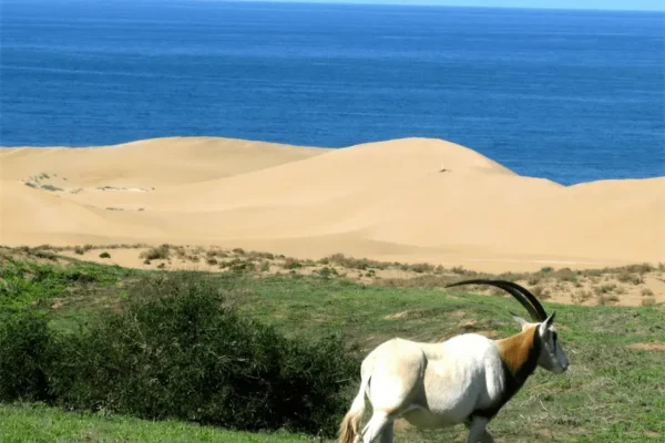 stay in Agadir, Souss Massa Park