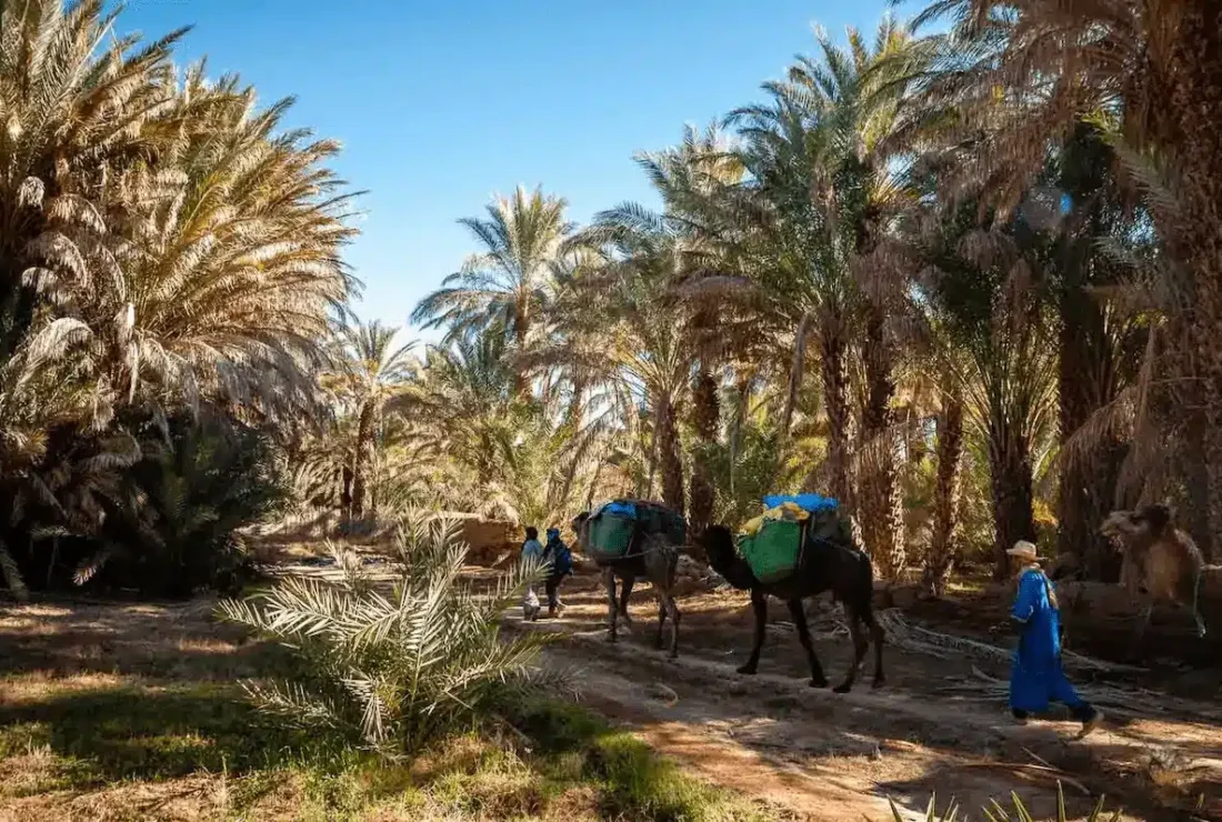 trek-desert-maroc-5-jours-palmeraie Trek désert et palmeraie sud Maroc en 3 jours