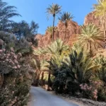 circuit en 4x4 dans les gorges ait Mansour