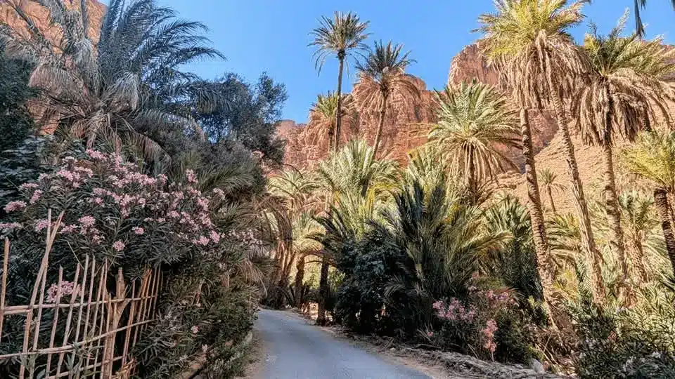 circuit en 4x4 dans les gorges ait Mansour